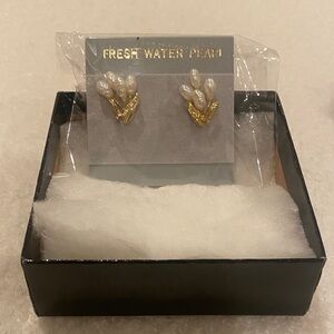 Elegant Gold and Pearl Earrings